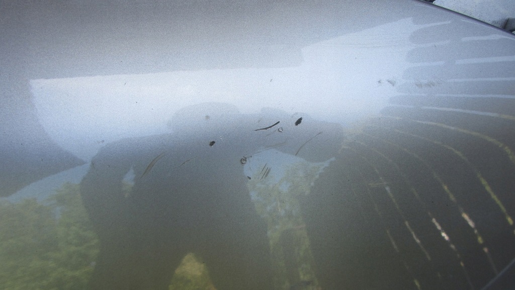 фото №7, Бампер перед передний ford mustang mach-e pdc