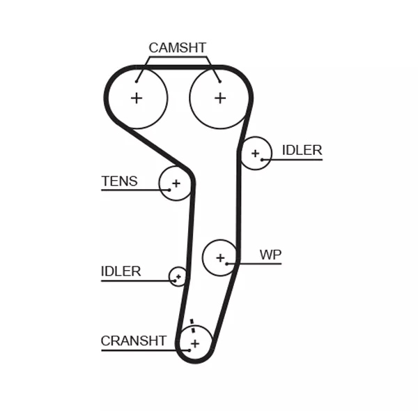 фото №1, [5607xs] ремінь розподільного валу pasuje do: audi a3, a4 b7