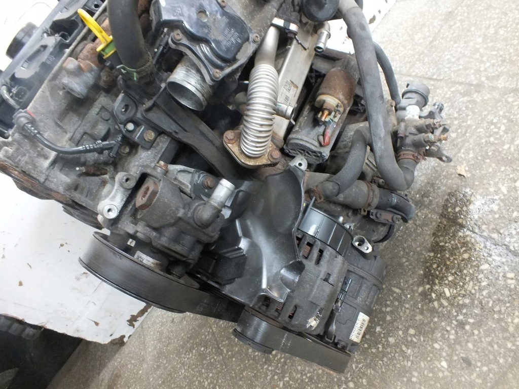 фото №11, Двигатель kompletny m9t870 renault master movano 2.3 dci