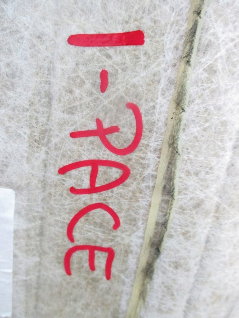 фото №5, Потолок jaguar i pace