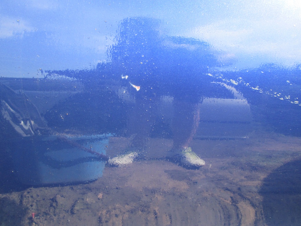 фото №5, Дверь левая передние seat leon i toledo ii ls5s