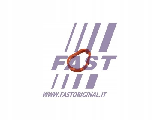 фото №2, Fast ft50702 прокладка, насос вакуумна