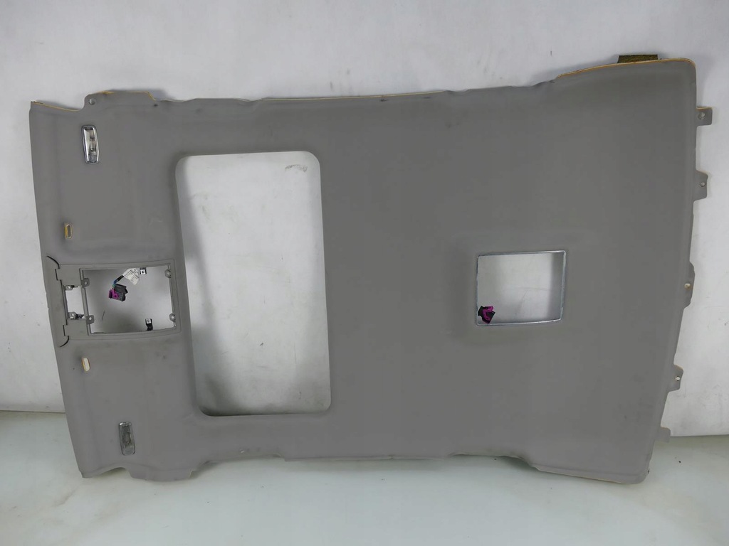 фото №1, Audi a8 d3 lift стеля колір platin