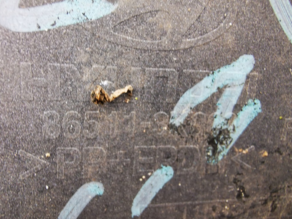 фото №8, Hyundai sonata v nf бампер передний 05-09