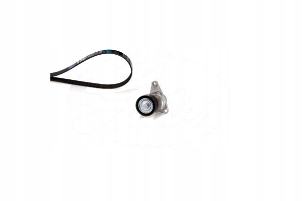 фото №2, Набір ремені багаторучейкових з ролики citroen c3 iii c4 picasso i