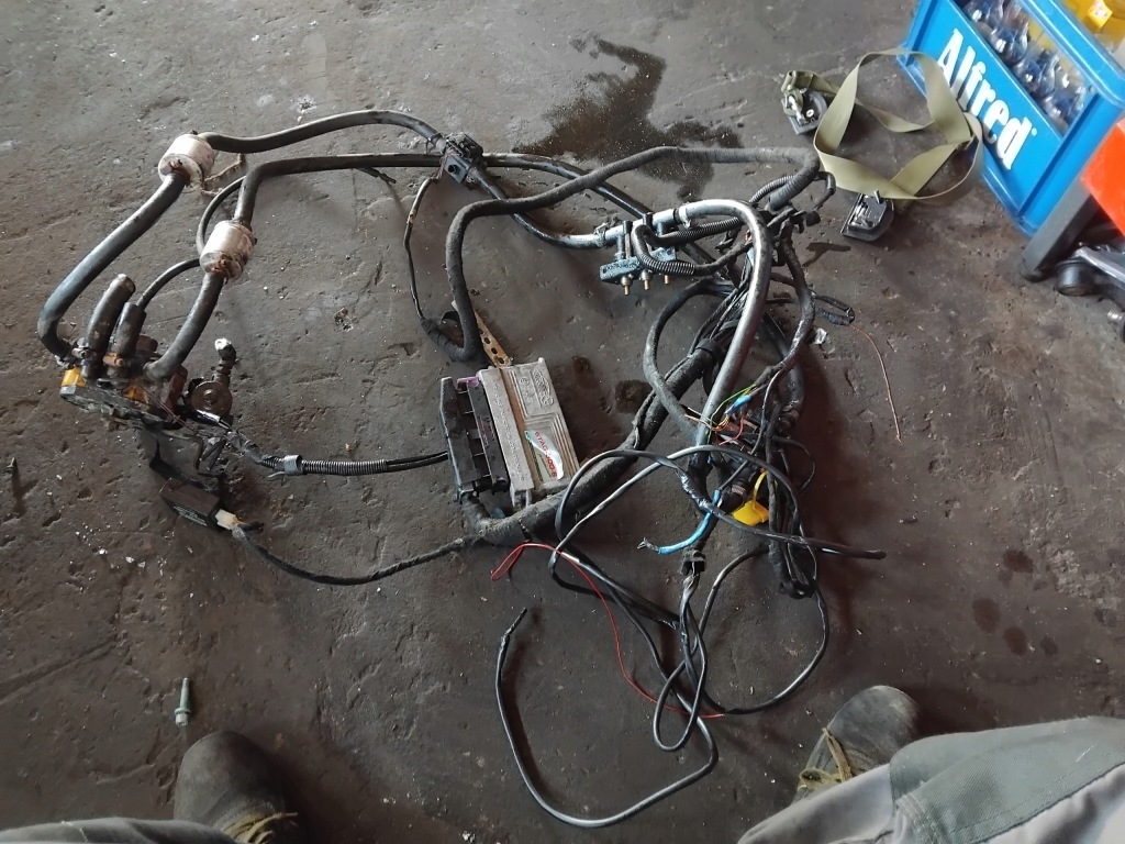 Купити Ac stag-300-6 електропроводка lpg передня частина