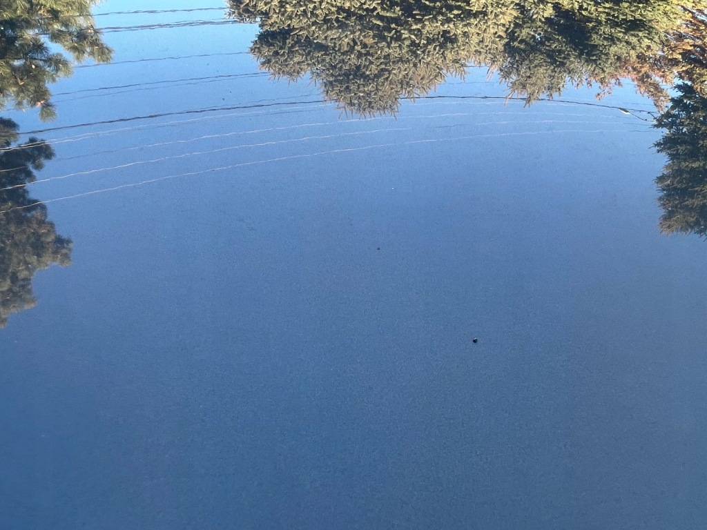 Капот крышка двигателя audi a4 b8 рестайлинг  2011-2015 ly1p Оригинал