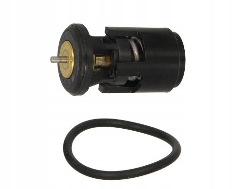 фото №1, Термостат skoda fabia favorit