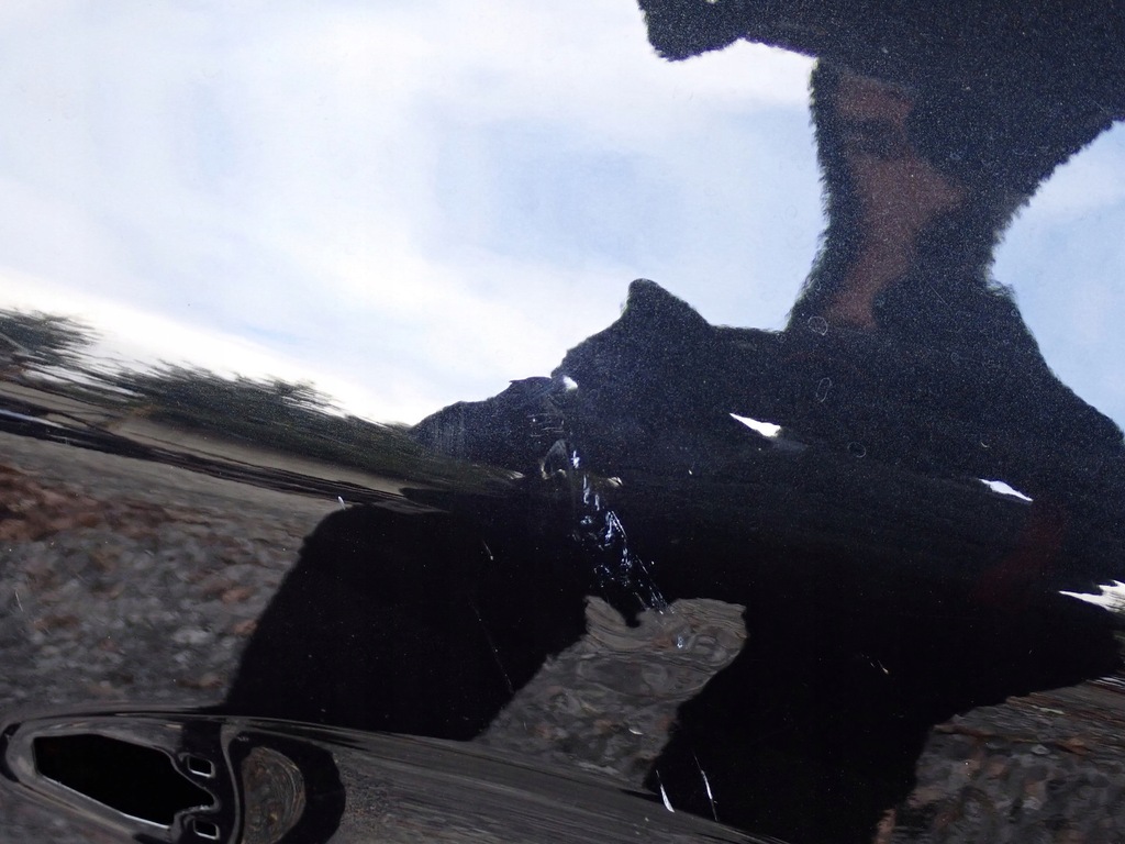 фото №8, Двері ліва задні лівий задня kia sportage 5 v nq5 2022-