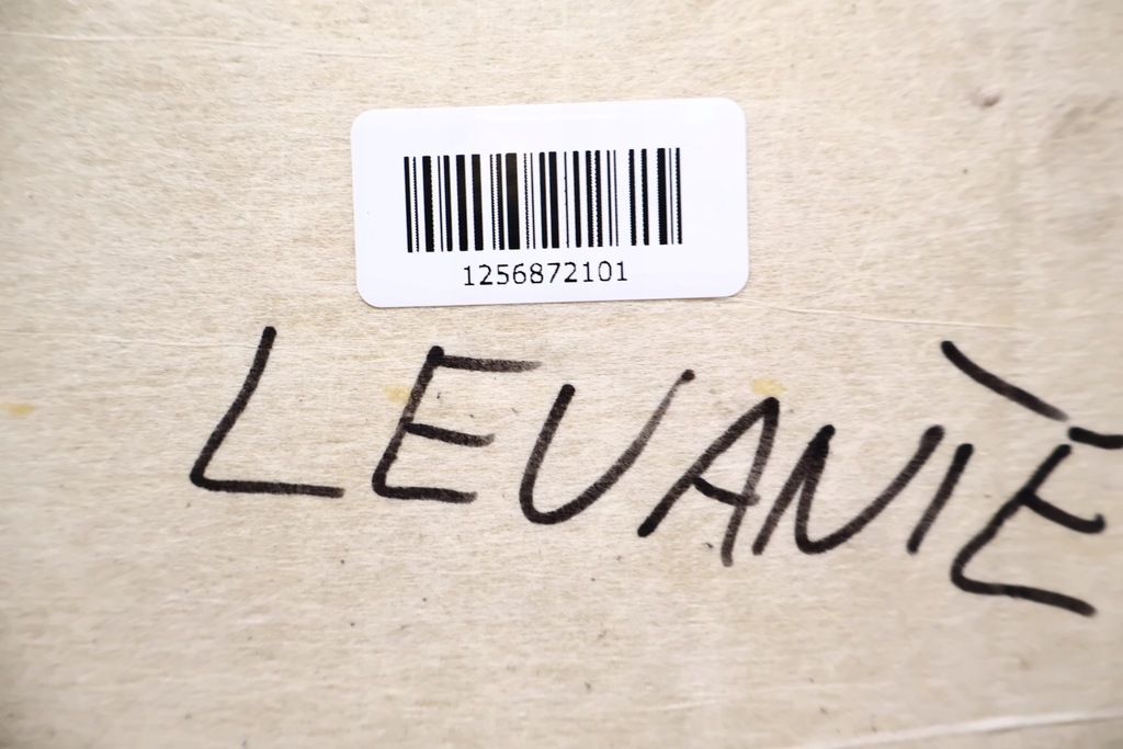 фото №13, Maserati levante стеля панорама