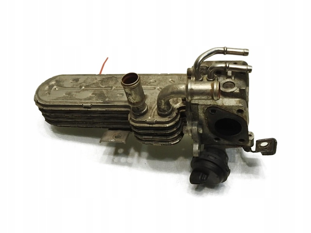 фото №1, Радіатор вихлопних газів vw passat b6 038131513ad