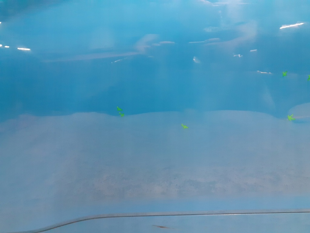 фото №5, Двері передні перед ліва hyundai kona 2017-