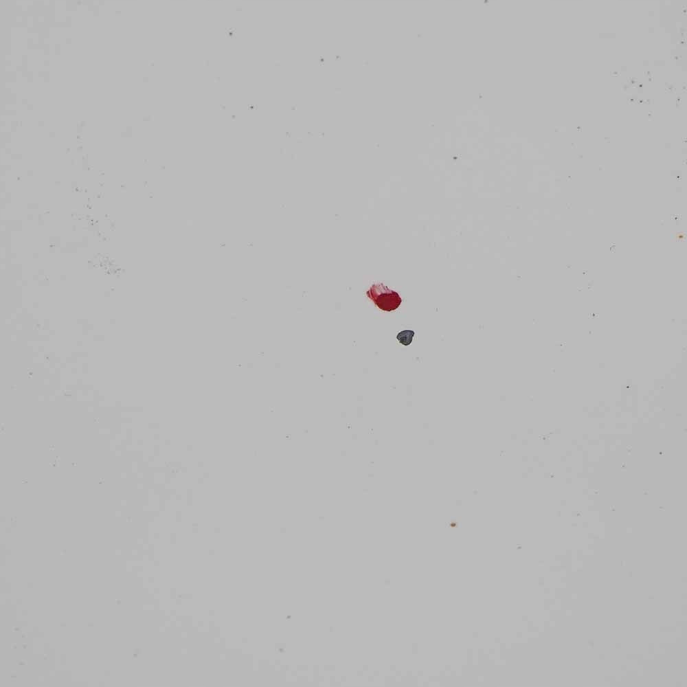 фото №16, Ford transit connect капот двигуна frozen white z2