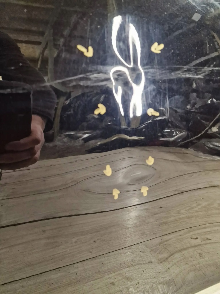 фото №6, Porsche 911 992 19- дверь правое перед