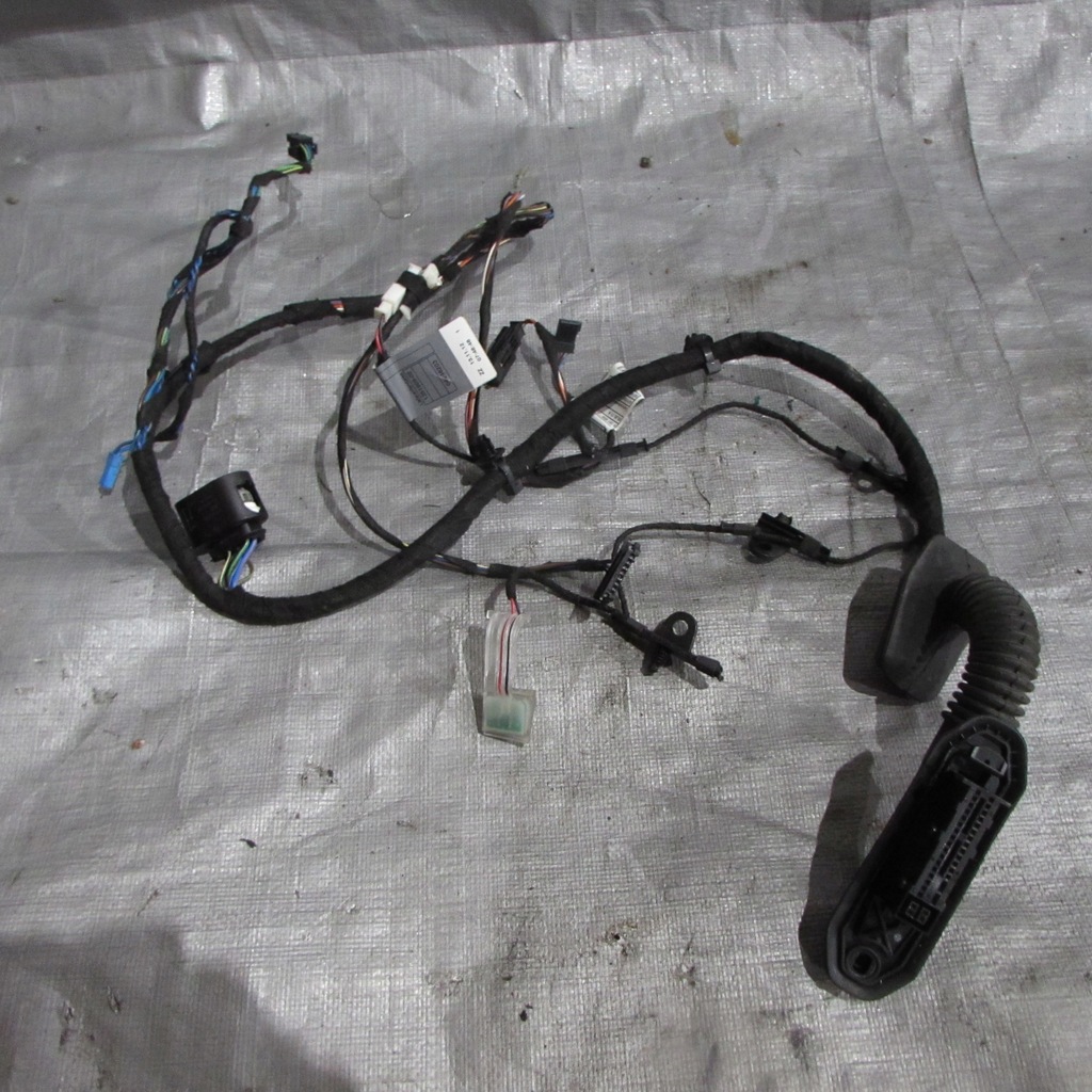 фото №1, Электропроводка дверь правый перед bmw x1 e84