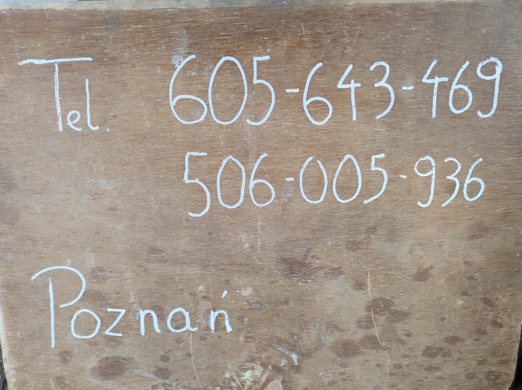 фото №11, Дверь hyundai i30 iii 2017- передние правое nowe оригинальные - poznań giełda