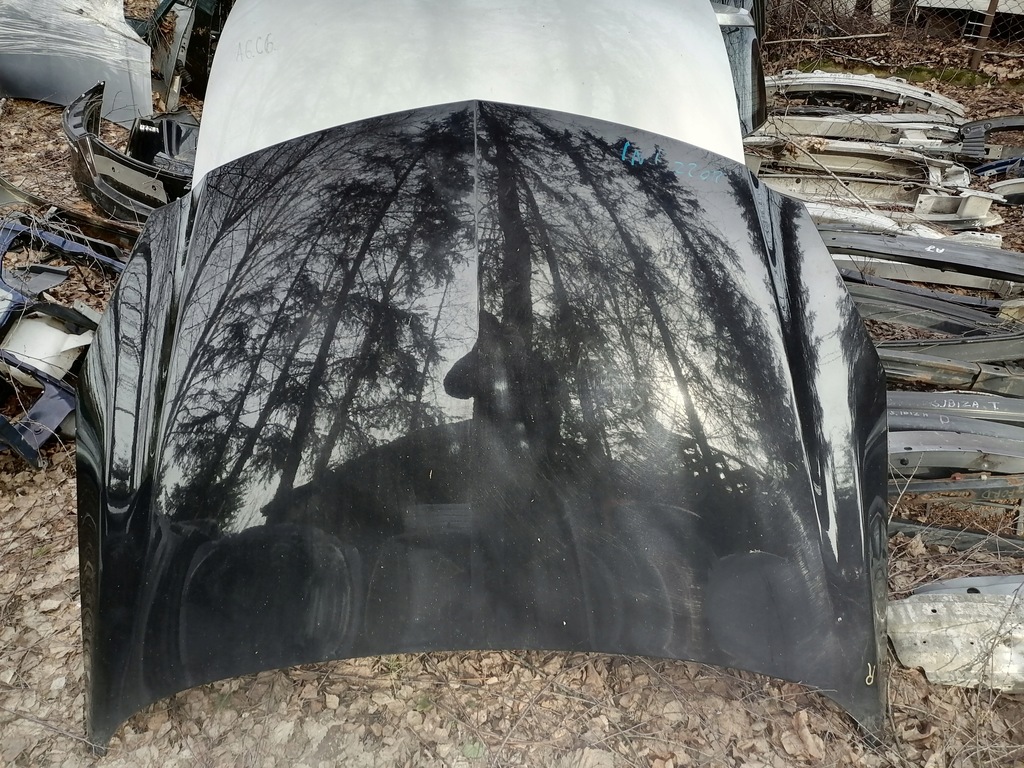 фото №9, Капот opel insignia z20r