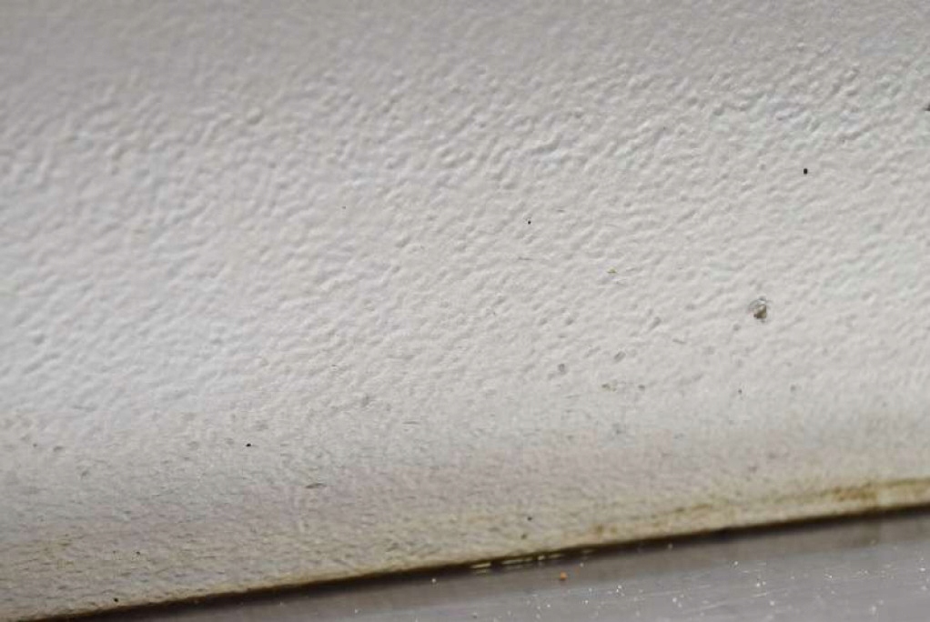 фото №9, Двері праве задня задні сріблястий toyota hilux 7 vii 05-15