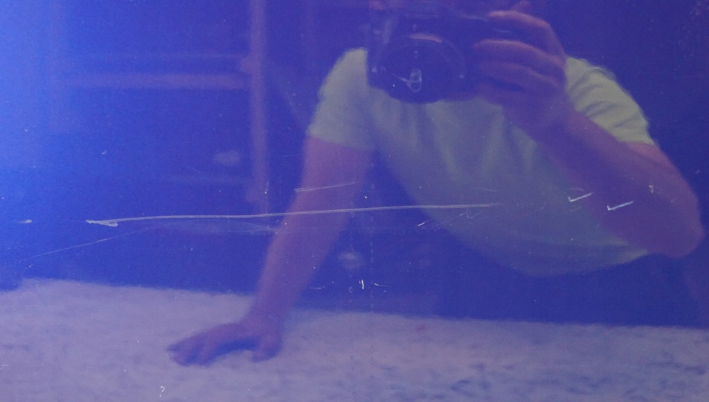 фото №8, Двері правий перед hyundai i20 i 3d