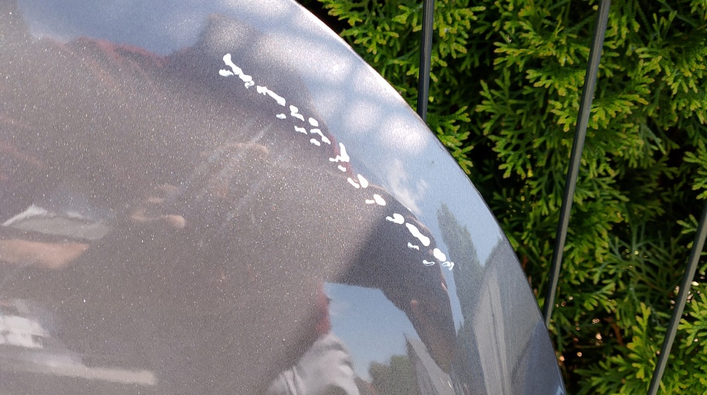 фото №6, Opel astra l vi 6 капот кришка двигуна evl ładna