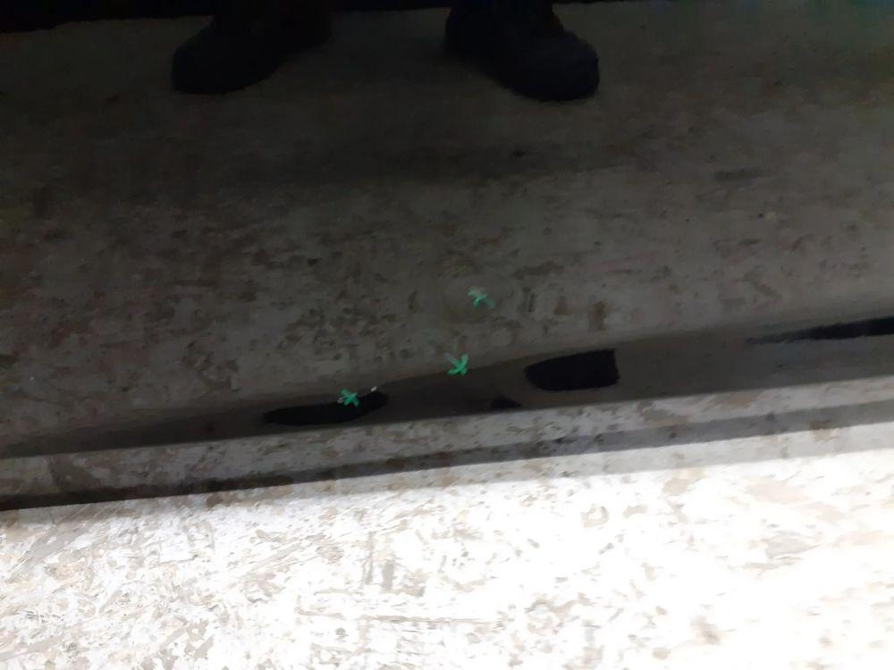 фото №7, Дверь передние перед левая seat leon iii 5f 2013-2019r