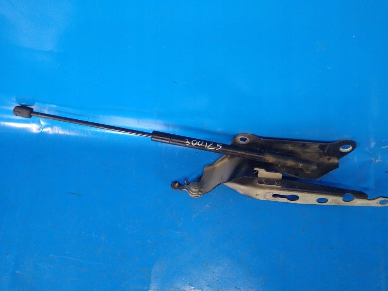 фото №4, Амортизатор капот volvo xc90 02-16 30649736