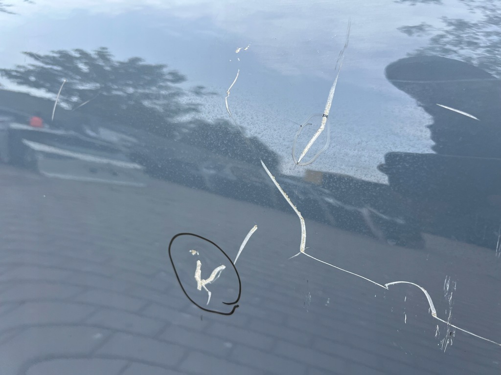 фото №8, Дверь porsche cayenne coupe 9y3 od 2019 задние правое задняя правый