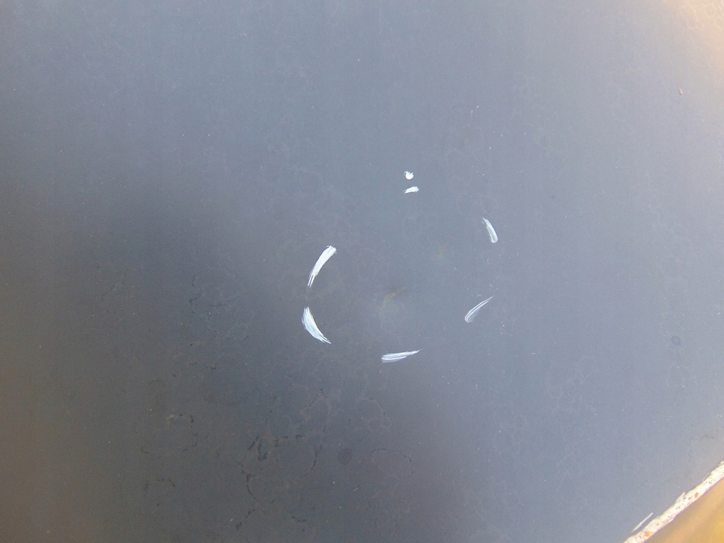 фото №12, Обшивка крила лівий задня vw golf viii 5h6813327