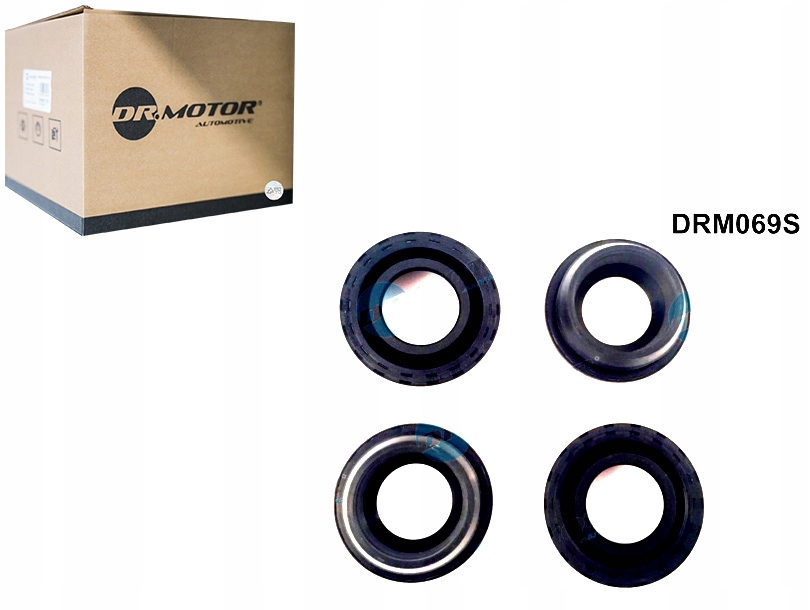 Купити Набір прокладка свічка zapł renault 1.2 16v 4шт dr.motor automotive