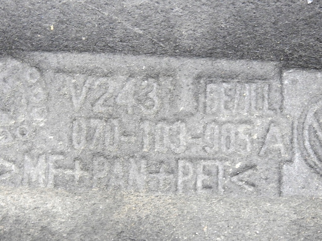 фото №9, Захист корпус розподільного валу vw touareg i 2.5 tdi bac