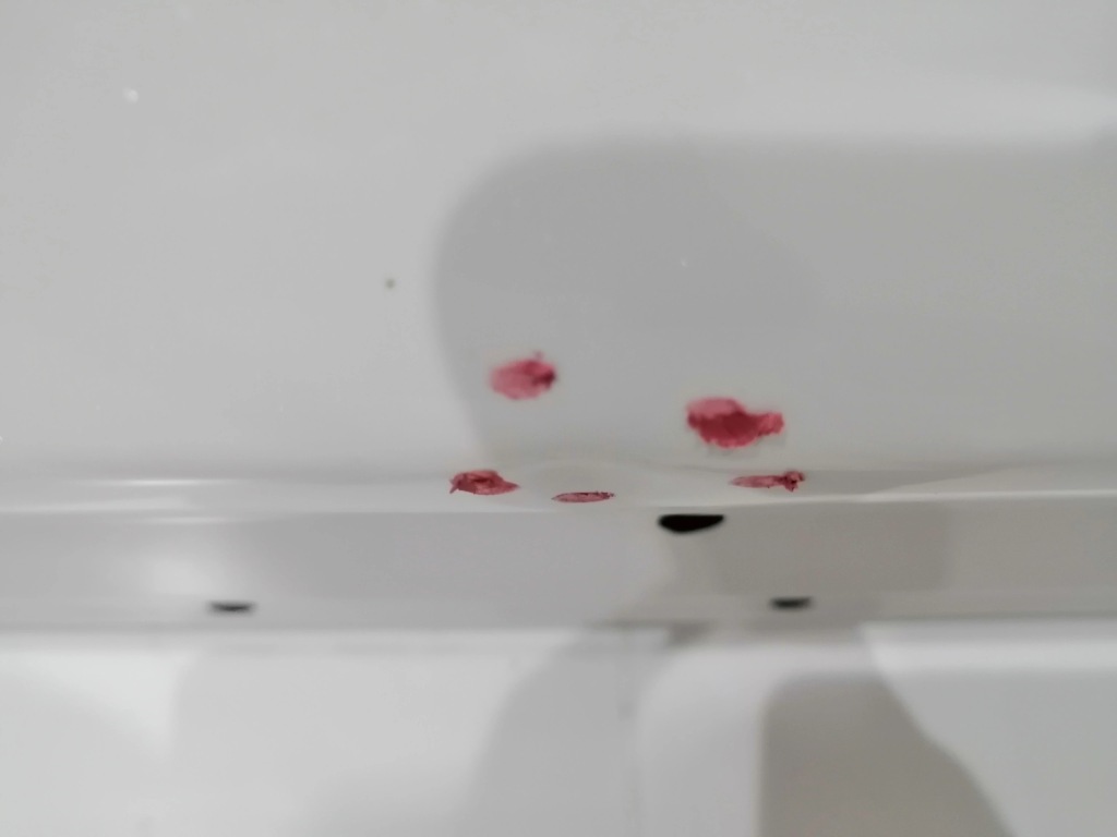 фото №8, Двері ліва передні перед ford mustang mach e