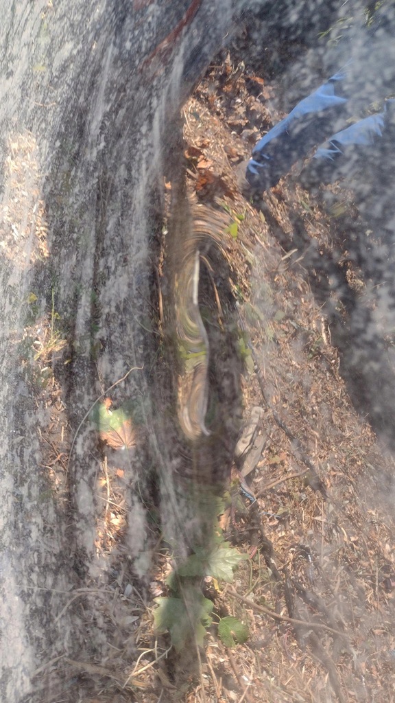 фото №9, Porsche panamera 970 lift крыша люк