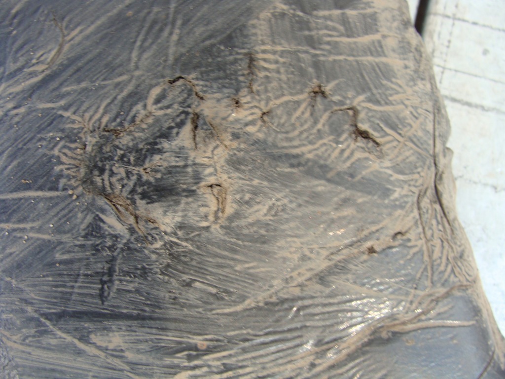 Шумоизоляция крыла левый левая перед ford c-max 1 mk1 Цена