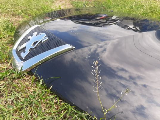 фото №5, Капот кришка двигуна peugeot 4007