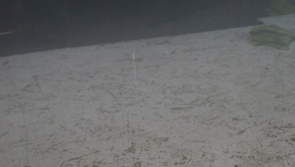 фото №13, Двері лівий перед mazda 6 gh ii