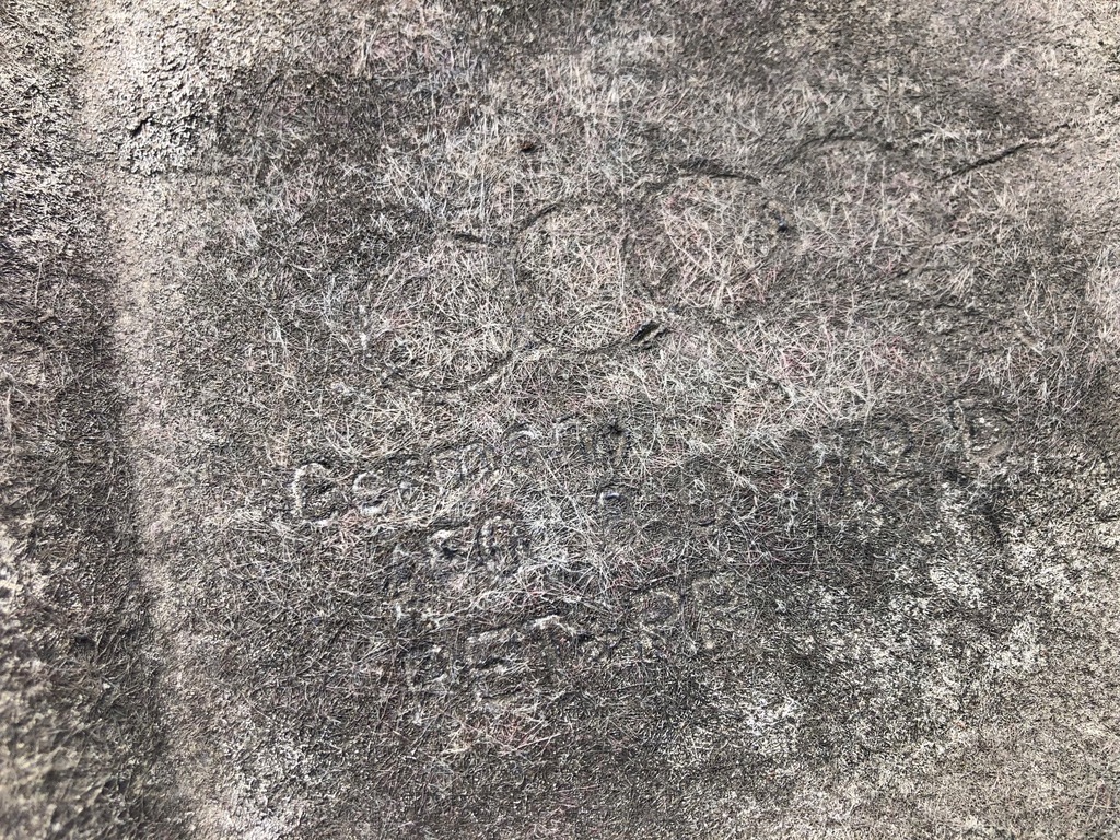 фото №5, Audi a6 c6 брызговик подкрылок правый задняя 4f0810172d