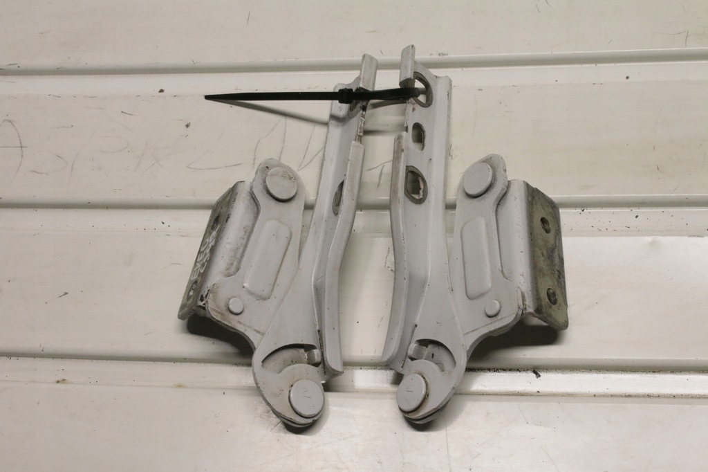 фото №1, Петли капот seat exeo