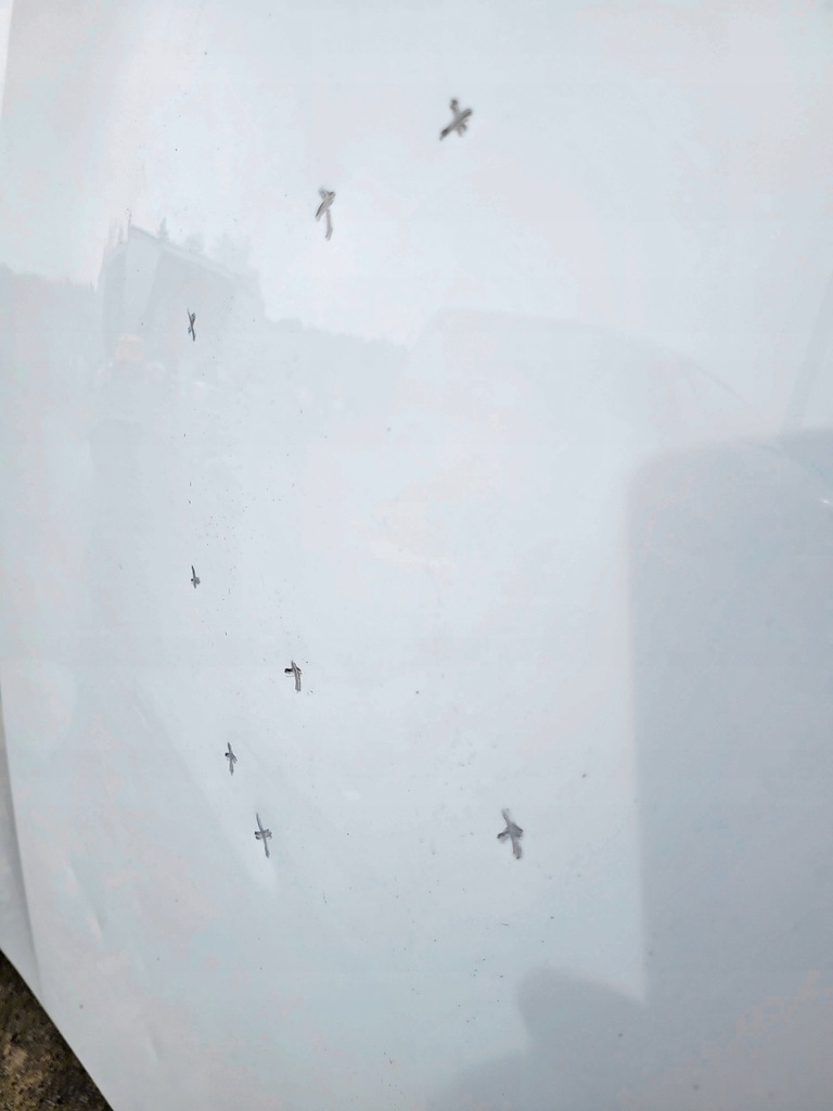 фото №6, Капот renault clio 5 2019-