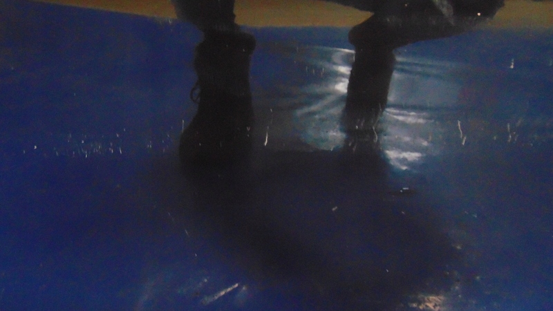 фото №6, Дверь левый задняя lc9z kpl seat leon ii 05-12r