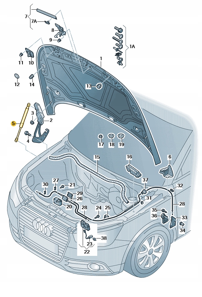 фото №1, Привід газовий передньої капот audi a1 aso оригінал
