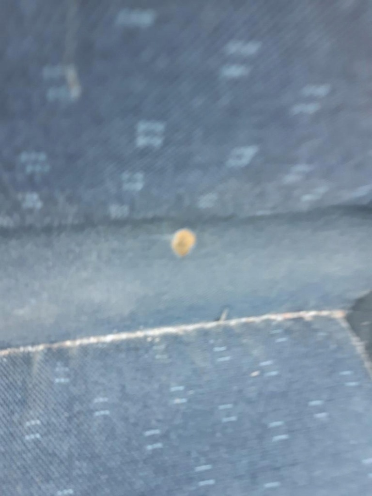 фото №5, Сиденье заднее сиденье anglik renault master iii