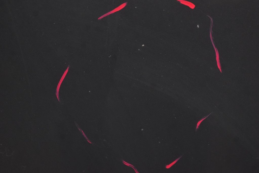 фото №7, Капот кришка двигуна сіра chevrolet hhr 1 i 05-11