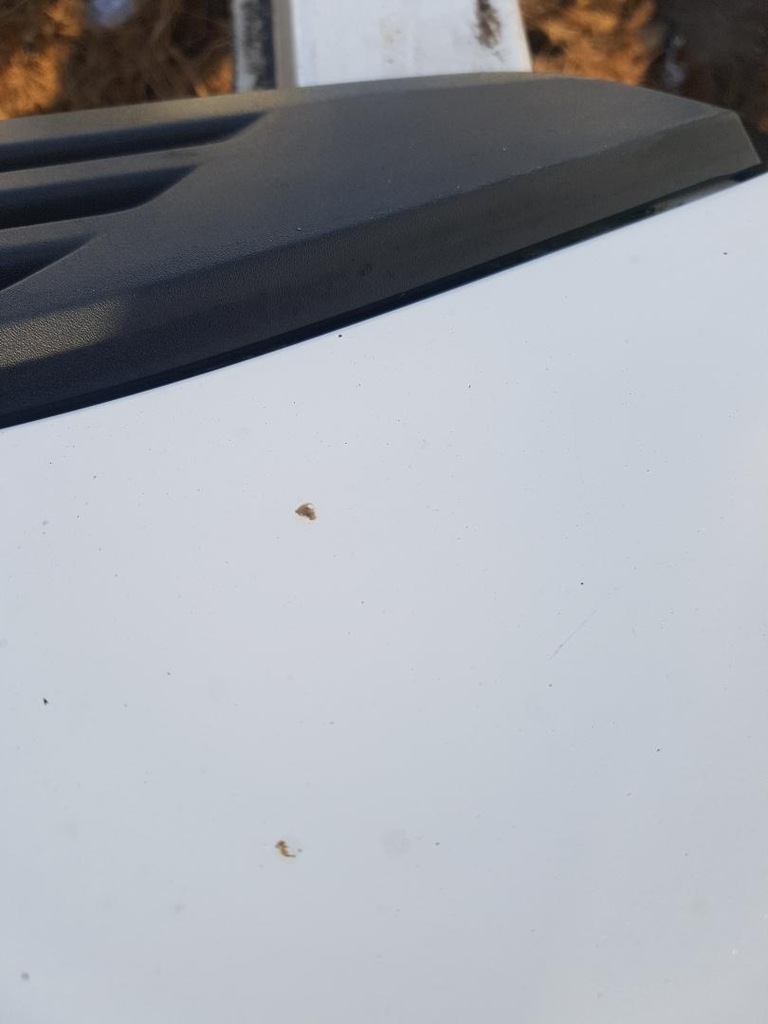 фото №10, Капот крышка двигателя lift citroen jumper ii