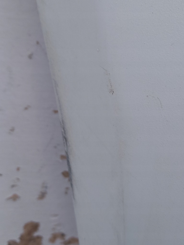 фото №8, Бампер перед renault zoe 620102855r