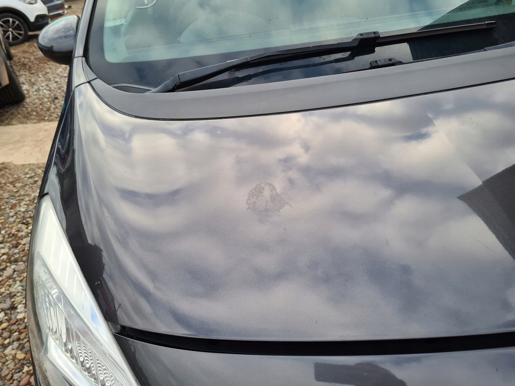 фото №5, Капот крышка двигателя opel meriva b z177