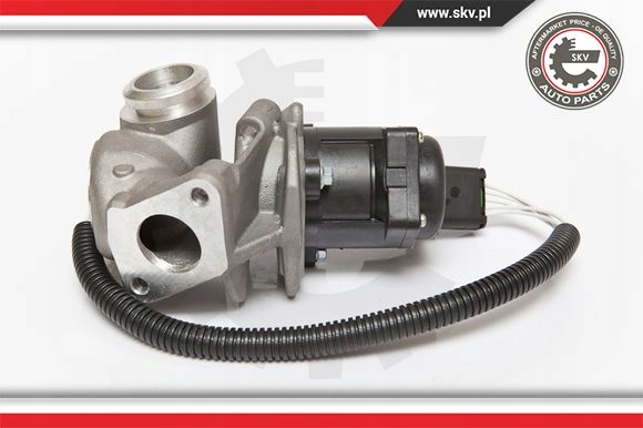 Клапан egr 14skv067 skv в Украине