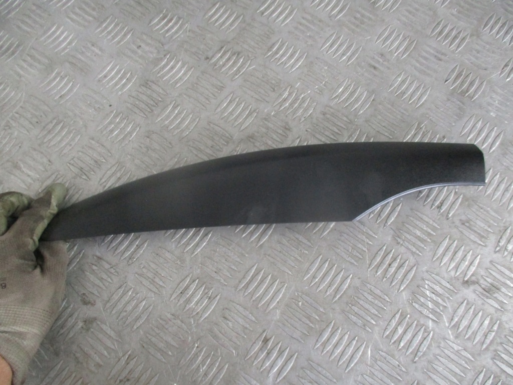 фото №2, Заглушка рейлінг лівий перед renault scenic iii 1.9 dci 09-13r