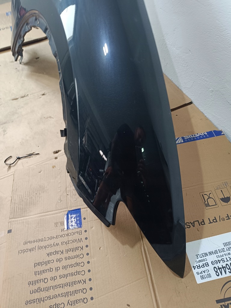 фото №9, Крила перед правий levante