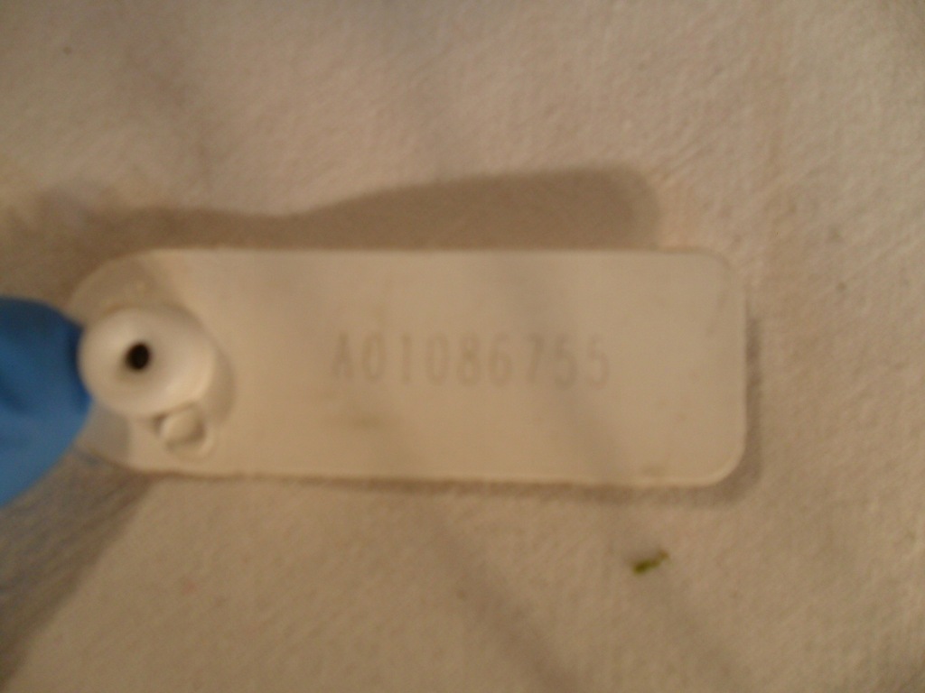 фото №16, Лампа левый перед eu toyota hiace 2007-