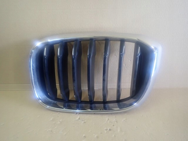 фото №1, Решітка радіатора решітка радіатора решітка радіатора ліва bmw x3 g01